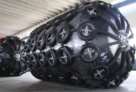 Các loại vỏ bọc biển chứa bọt lưới